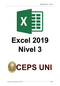 Manual Excel Nivel 3 - 2019