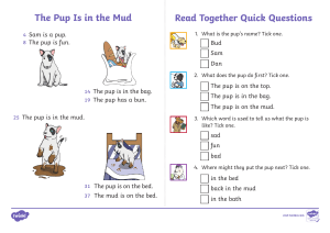 The-Pup-Is-in-the-Mud