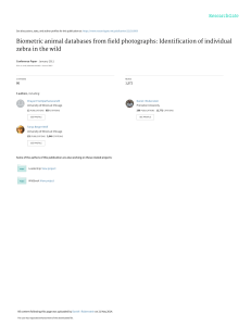 Biometric animal databases from field photographs 