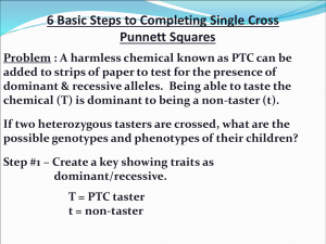 6 Basic Steps to Completing Single Cross