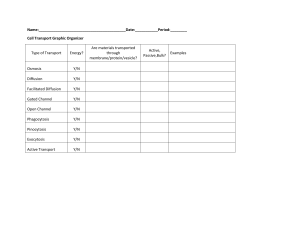 Cell-Transport-Graphic-Organizer-USBT