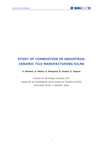 STUDY OF COMBUSTION in INDUSTRIAL