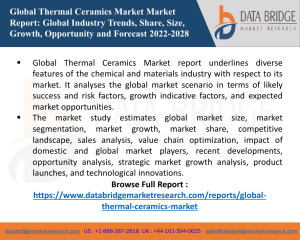 Global Thermal Ceramics Market