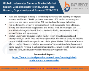 Global Underwater Cameras Market