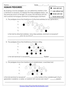 Human Pedigree Worksheet: Dominant & Recessive Traits