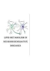 Lipid Metabolism in Neurodegenerative Diseases