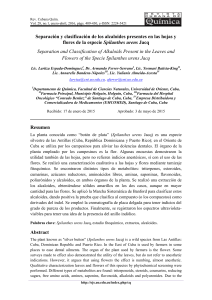 Separación y Clasificación de Alcaloides en Spilanthes urens