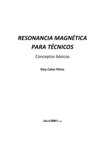 RM para Técnicos: Conceptos Básicos