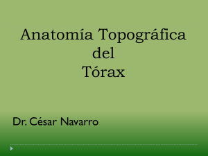 Anatom&iacute;a Topogr&aacute;fica del T&oacute;rax: Presentaci&oacute;n