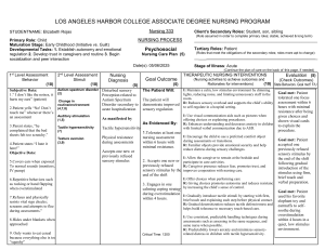 Nursing Care Plan: Autism & Sensory Perception in Child