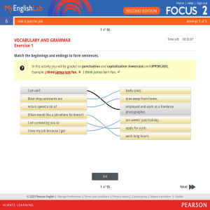 Vocabulary & Grammar Exercise: Sentence Matching