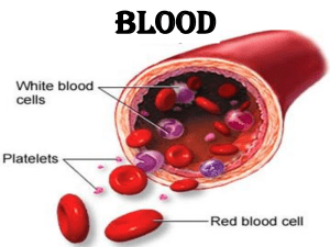 Blood Histology: Erythrocytes, Neutrophils & More
